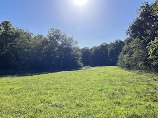 Terrain vente à Saint-Amand-Montrond, Jouet-sur-l'aubois