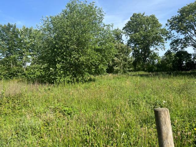 Terrain vente à Abbeville, Lamotte-buleux