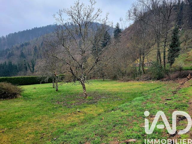 Terrain vente à Storckensohn, Collectivité européenne d'Alsace
