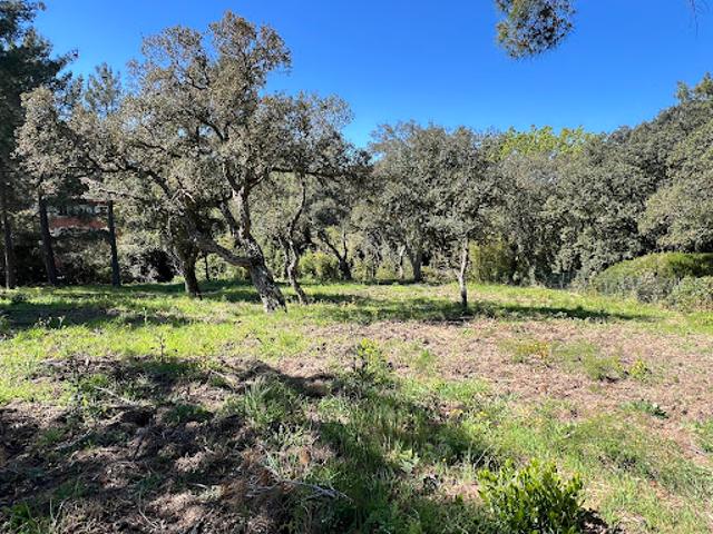 Terrain vente à Arrondissement de Draguignan, Grimaud