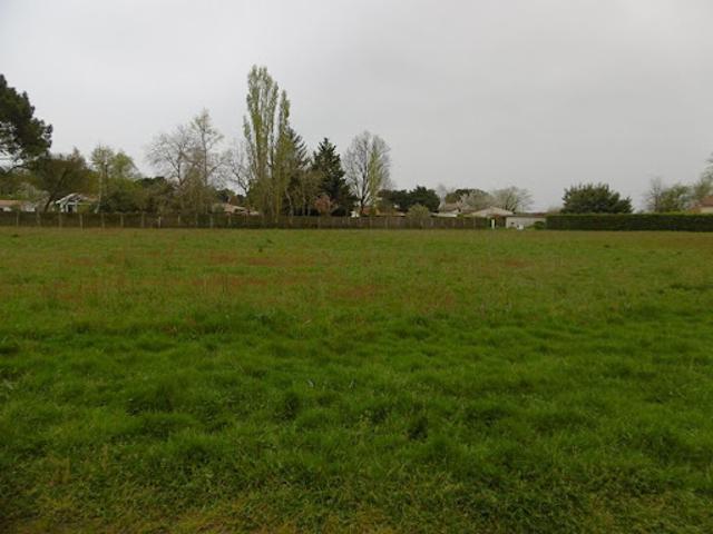 Terrain vente à Langon
