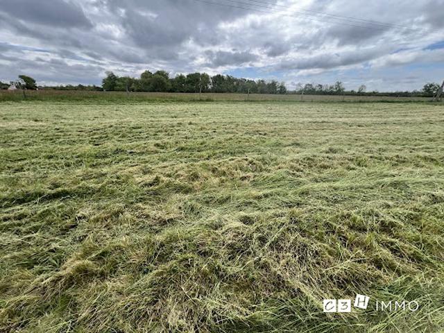 Terrain vente à Muret, Longages