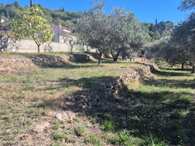 Terrain vente à Arrondissement de Draguignan, Montauroux