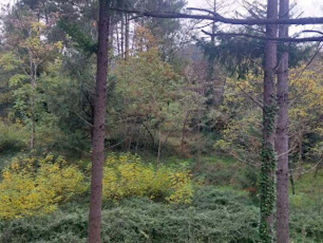 Terrain vente à Privas, Les Ollières-sur-eyrieux