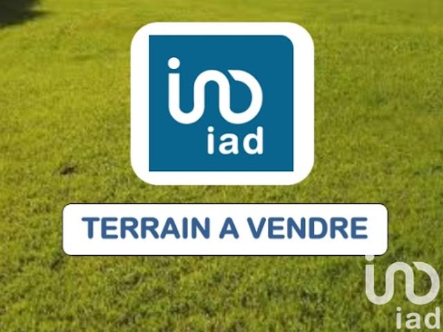 Terrain vente à Coutras, Couperie
