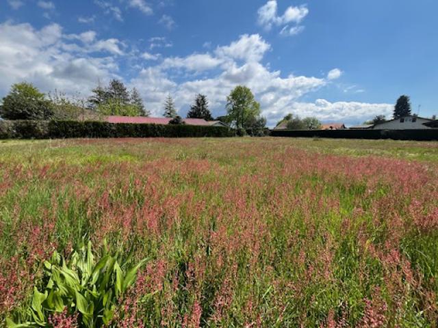 Terrain vente à Dax, Lit-et-mixe