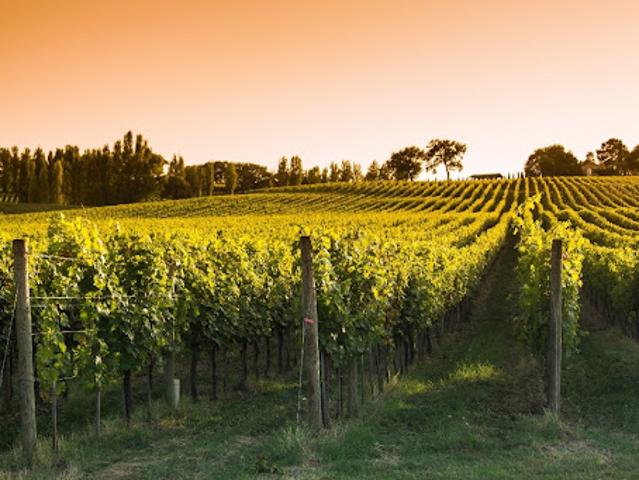 Terrain vente à France métropolitaine, Jonzac