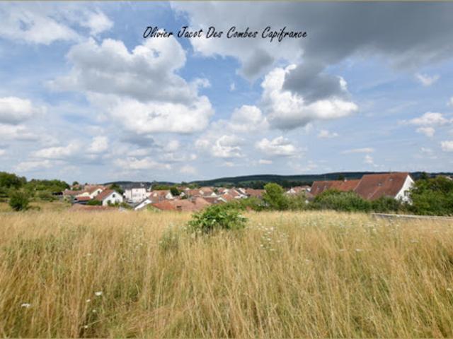 Terrain vente à Belfort, Châtenois-les-forges