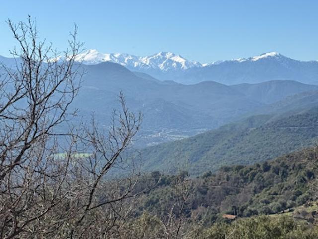 Terrain vente à Corte, Campitello