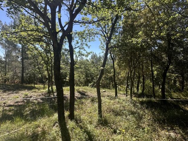 Terrain vente à Arrondissement de Draguignan, Claviers