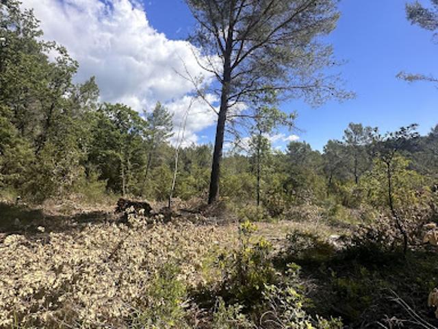 Terrain vente à Arrondissement de Draguignan, Claviers