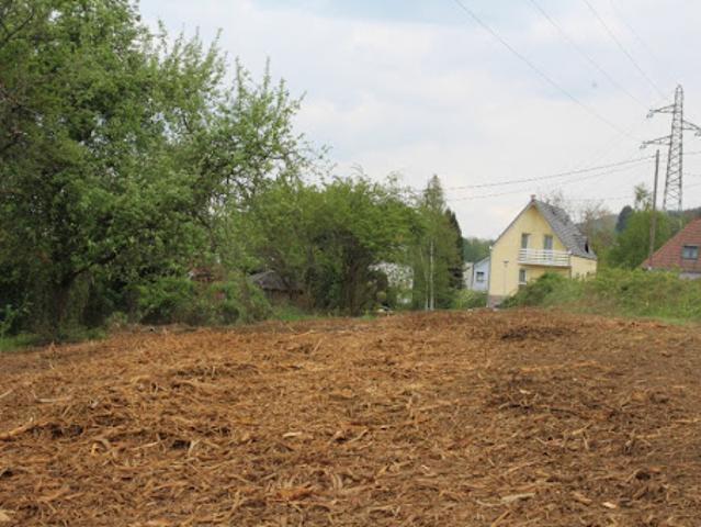 Terrain vente à Molsheim, Russ
