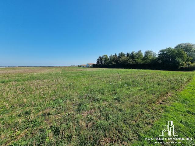 Terrain vente à Fontenay-le-Comte, Pays de la Loire