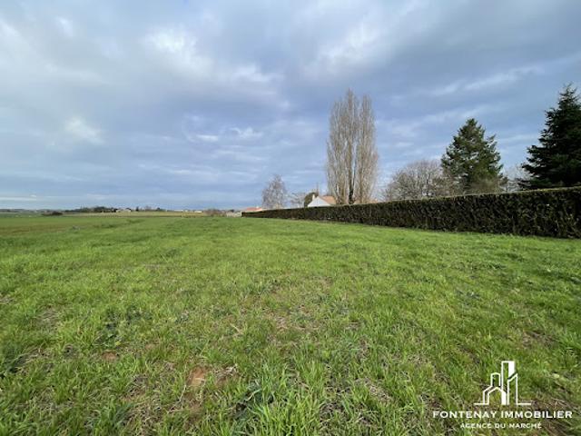 Terrain vente à Fontenay-le-Comte, Longèves