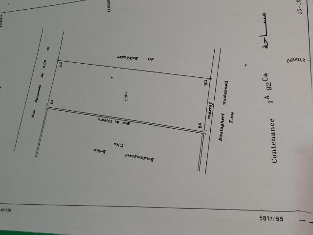 Terrain vente à Al Haouz, L'Oriental