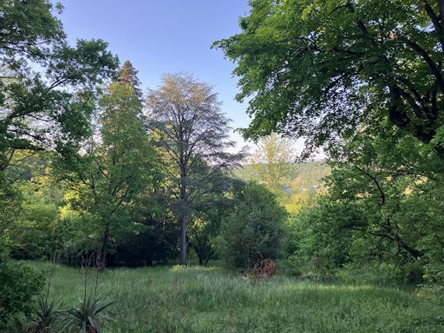 Terrain vente à CIL du Chapoly, Charbonnières-les-Bains