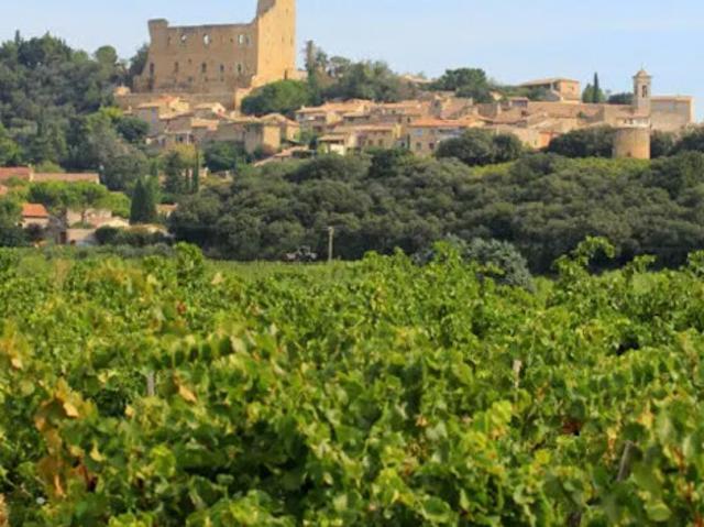 Terrain vente à Carpentras, Châteauneuf-du-pape
