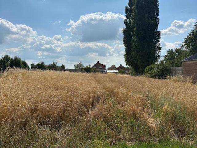 Terrain vente à Cambrai