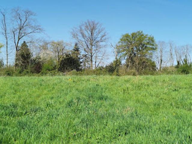 Terrain vente à Vichy, Varennes-sur-allier