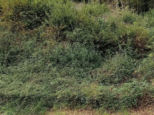 Terrain vente à Brive-la-Gaillarde, Malemort-sur-corrèze