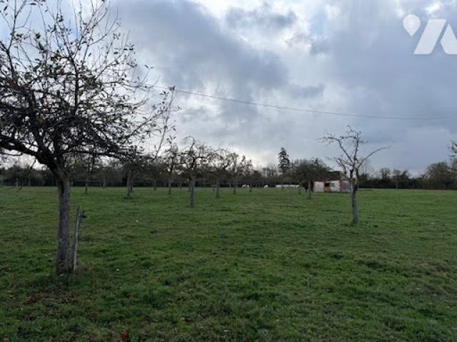 Terrain vente à Lisieux, Auquainville