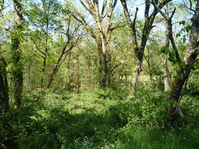 Terrain vente à Villeneuve-sur-Lot, Condezaygues