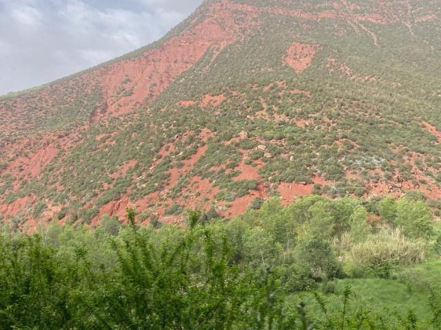Terrain vente à Marrakech, L'Oriental