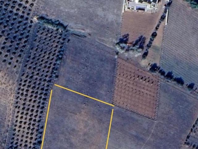 Terrain vente à Sidi Allal El Bahraoui