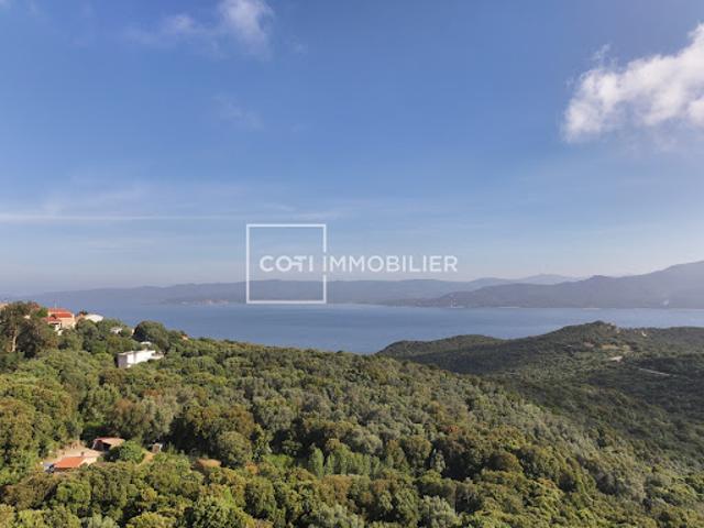 Terrain vente à Sartène, Belvédère-campomoro
