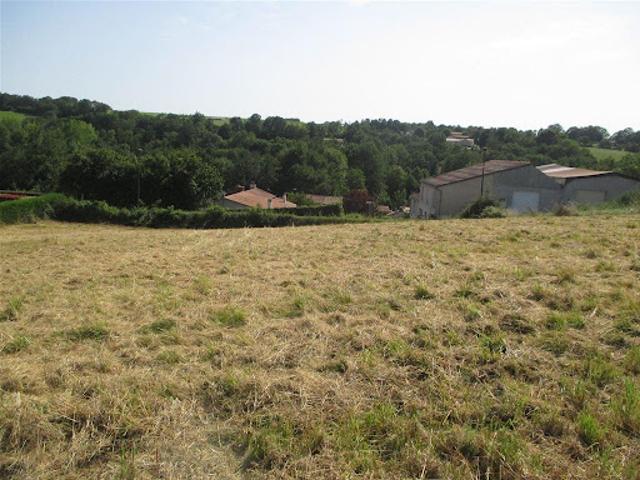 Terrain vente à La Pillaudière, Réaumur