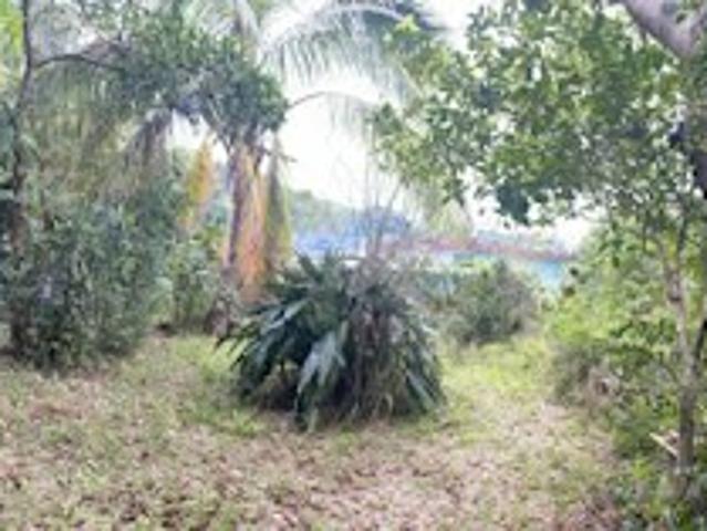 Terrain vente à La Réunion