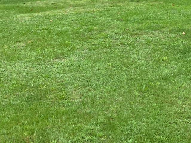 Terrain vente à France métropolitaine, Saint-sulpice-de-cognac