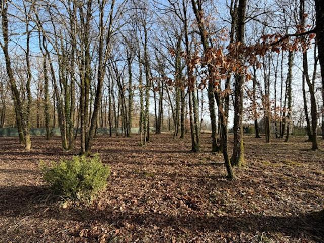 Terrain vente à La Boinarderie, Verrie