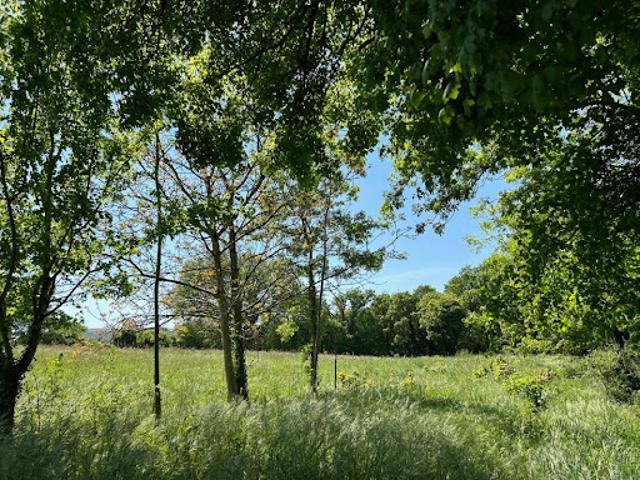 Terrain vente à Saintes, Pont-l'abbé-d'arnoult