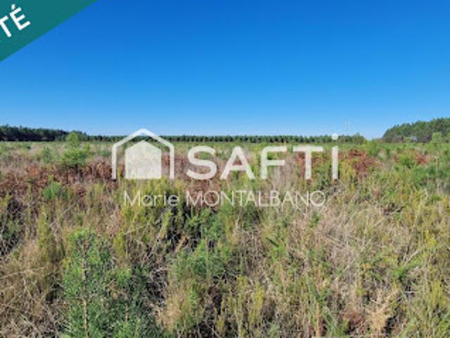 Terrain vente à France métropolitaine, Sanguinet