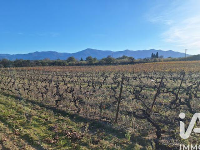 Terrain vente à Céret, Bages