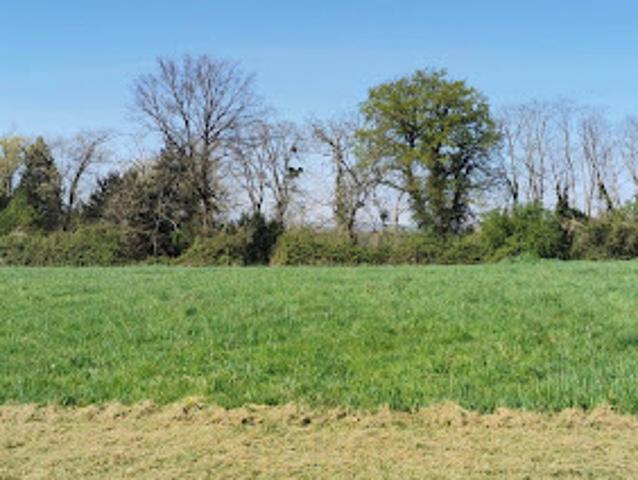 Terrain vente à Vichy, Varennes-sur-allier