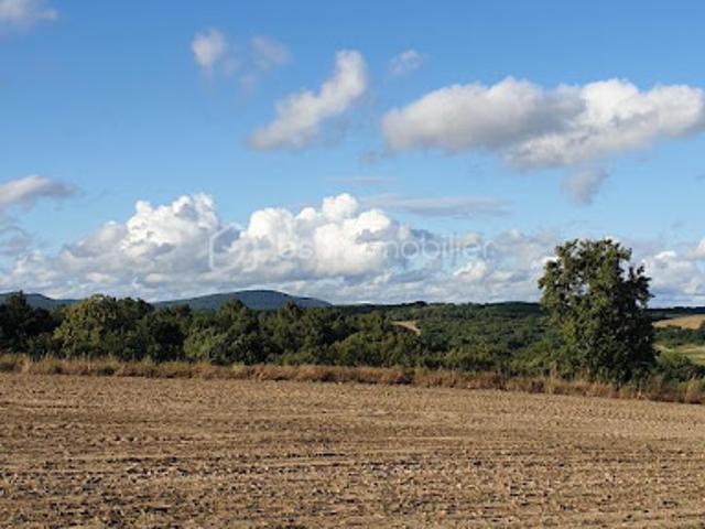 Terrain vente à Albi, Salvagnac