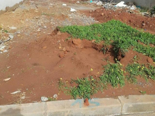 Terrain vente à Témara, Rabat-Salé-Zemmour-Zaër