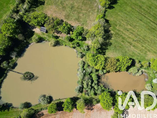 Terrain vente à Montmorillon, Availles-limouzine