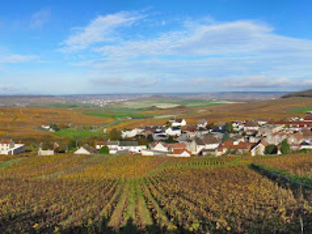 Terrain vente à Reims, Jonchery-sur-vesle