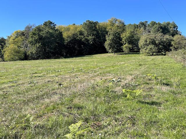 Terrain vente à Périgueux, Villamblard
