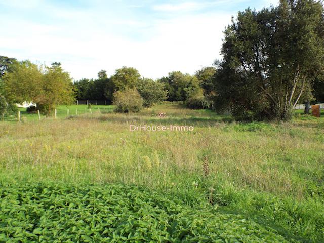 Terrain vente à France métropolitaine, Bois