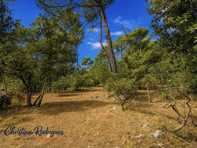 Terrain vente à Arrondissement de Draguignan, Lorgues