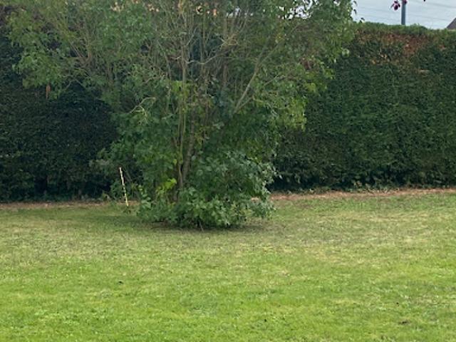 Terrain vente à France métropolitaine, Domont