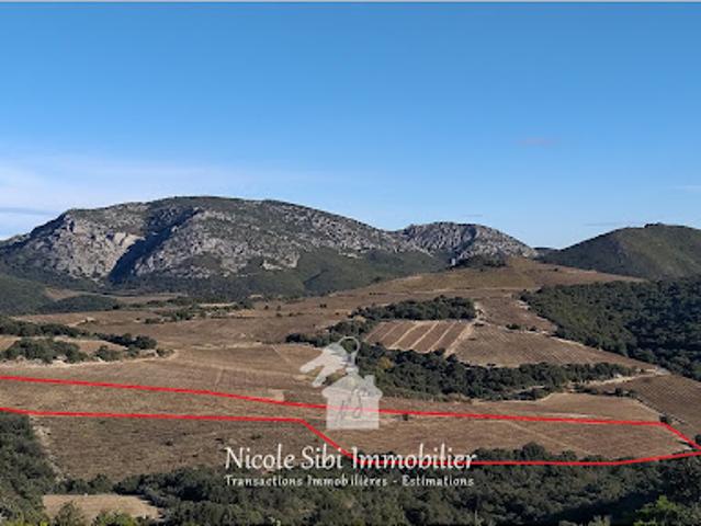 Terrain vente à Prades, Occitanie