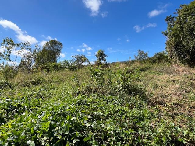 Terrain vente à La Réunion