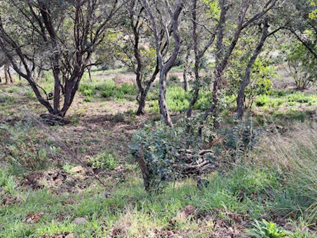 Terrain vente à Arrondissement de Draguignan, La Môle