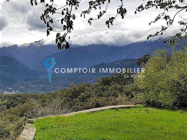 Terrain vente à Corte, Prunelli-di-fiumorbo