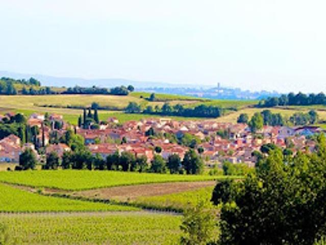 Terrain vente à Céret, Saint-jean-lasseille